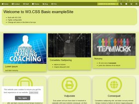 W3.CSS hugo screenshot